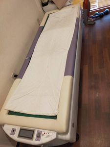 オートヘルサー DZのYahoo!オークション(旧ヤフオク!)の相場・価格を