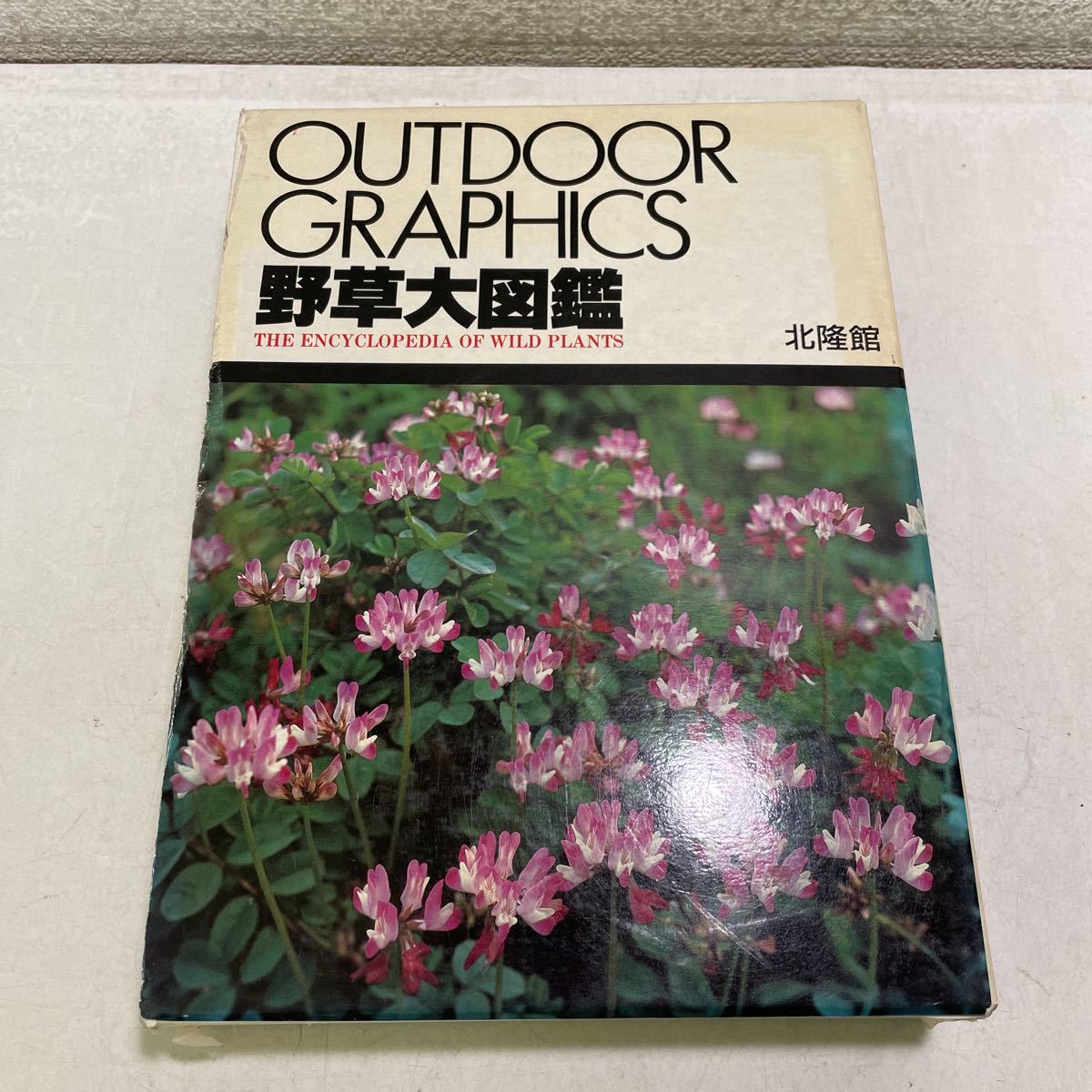 野草大図鑑 北隆館 (3_ 野草大図鑑 高橋秀男 1990年 平成2年4月 野草大図鑑 北隆館 (3_ 野草大図鑑 高橋秀男 1990年 平成2年4月