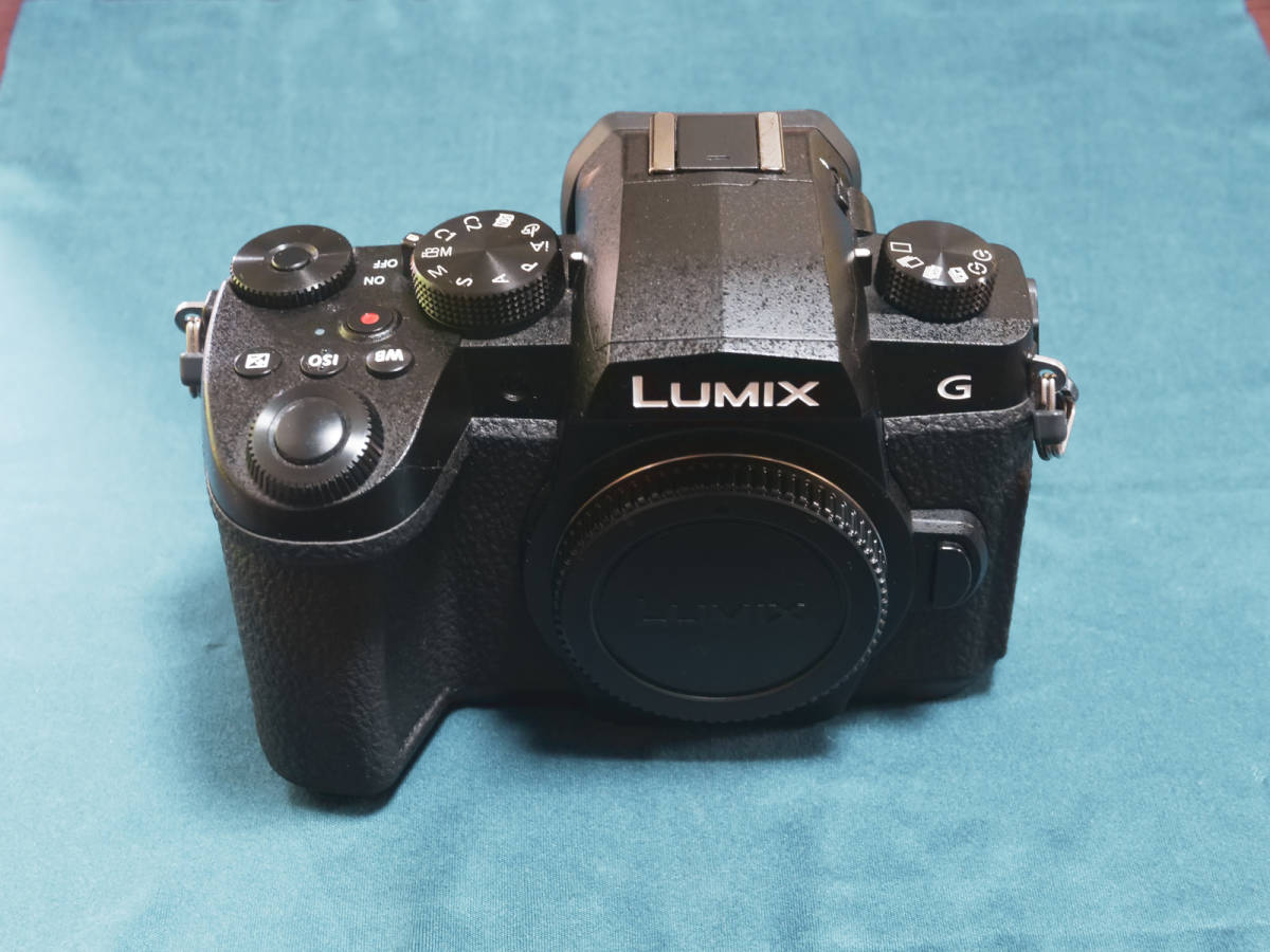 LUMIX DC-G99 公式通販 | パナソニック panasonic g99 バッテリーの