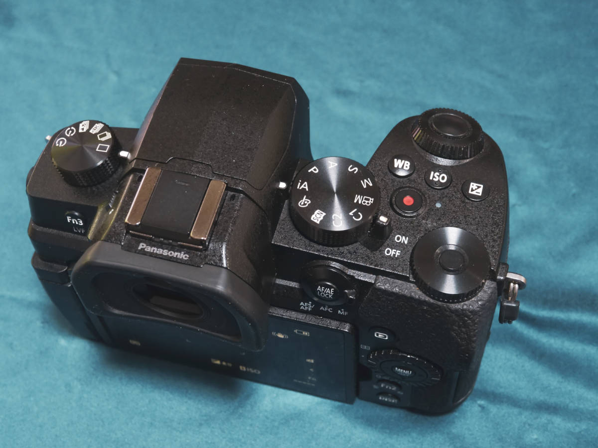 LUMIX DC-G99 公式通販 | パナソニック panasonic g99 バッテリーの 