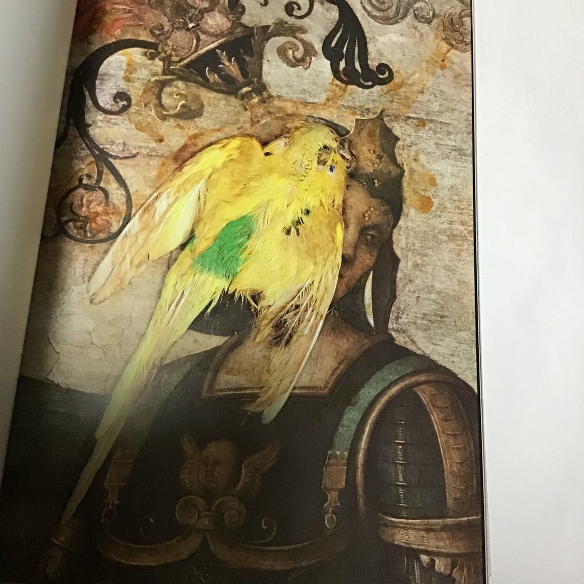 My Peter Truth James Elaine - ANOHNI Hujar, &frasl; ANOHNI: (ANOHNI, 洋書Anohni 展覧会カタログ Hujar | Independent