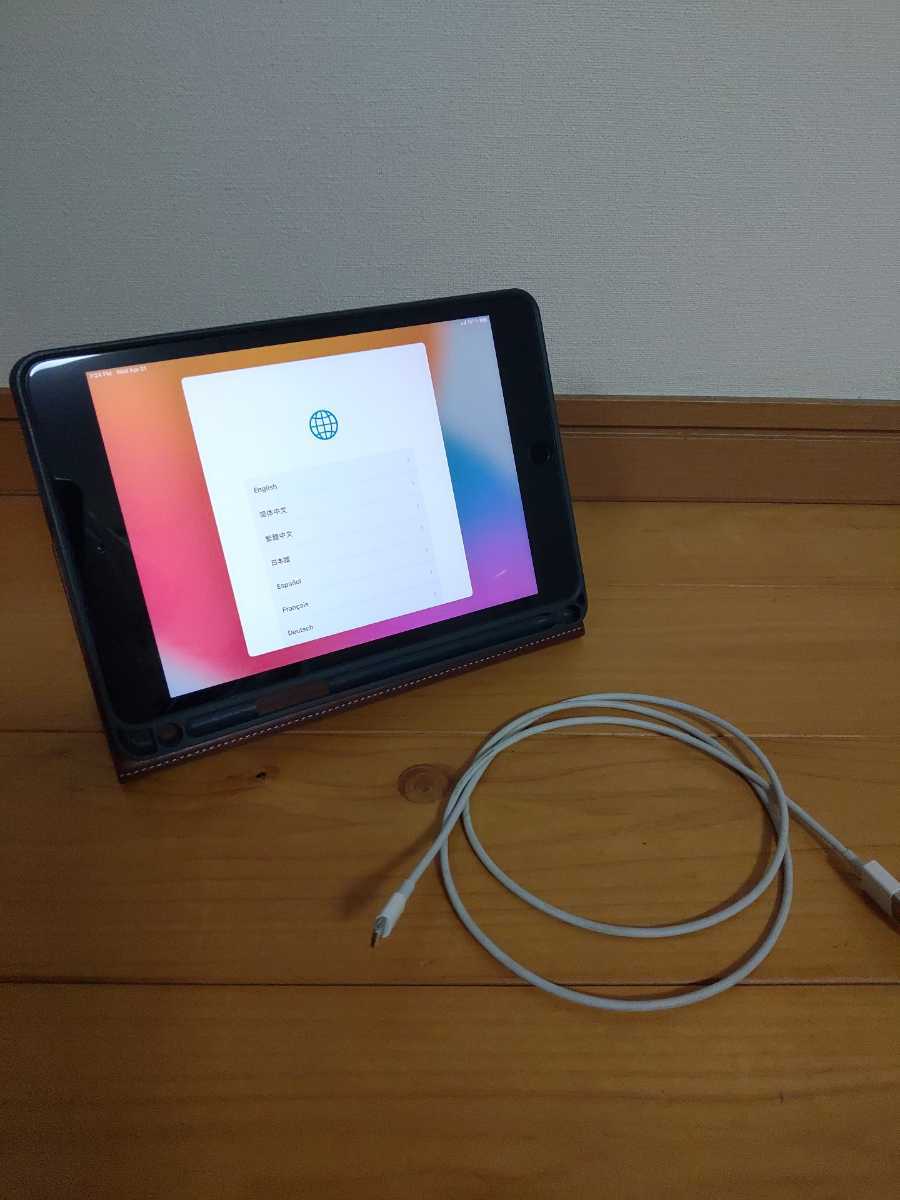 ipad mini 5 256GB セルラー simフリー iPad mini 5 【公式通販】