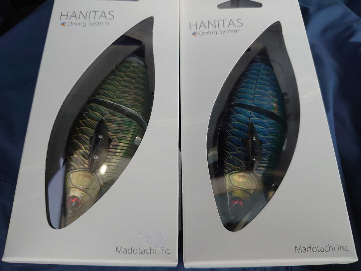 マドタチ ハニタス 即決　送料無料　アジアアロワナ　次回生産未定　青のみ　一個の価格です
