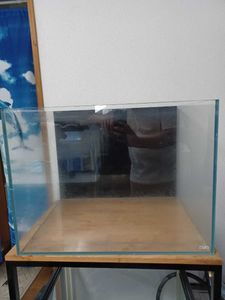 ADA 水槽 60のYahoo!オークション(旧ヤフオク!)の相場・価格を見る