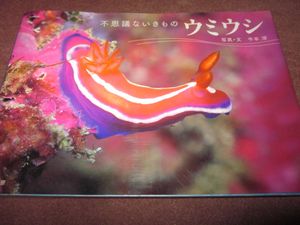 ウミウシのヤフオク の相場 価格を見る ヤフオク のウミウシのオークション売買情報は33件が掲載されています