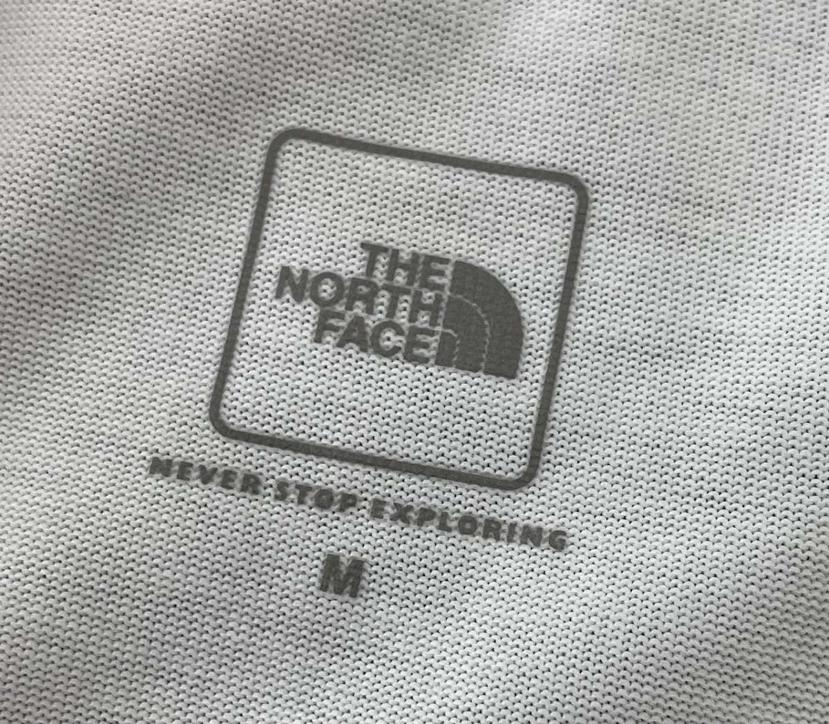 定価4620円 国内正規 ■ THE NORTH FACE S/S Small Box Logo Tee Tシャツ カットソー ボックスロゴ ノースフェイス NT31955 ■ M _4