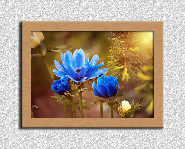 完売品 工芸青花7号 A4判 限定1000部 完売品 工芸青花16