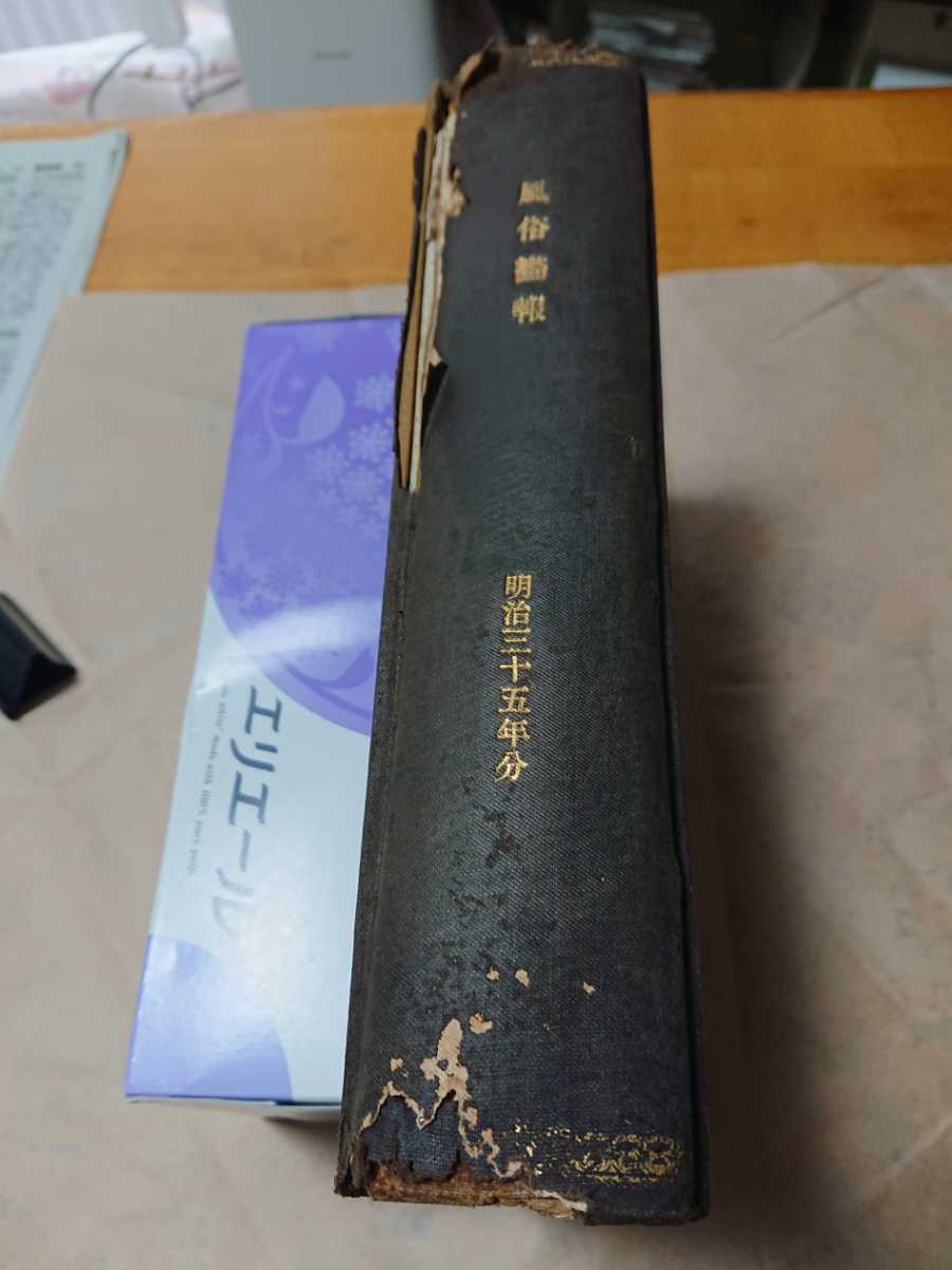 l1074213295.3