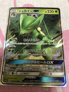 ポケモンカード ジュカインの平均価格は755円 ヤフオク 等のポケモンカード ジュカインのオークション売買情報は27件が掲載されています
