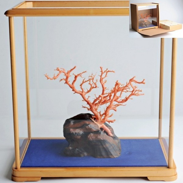 桃珊瑚 サンゴ 枝珊瑚 置物 ガラスケース付 珊瑚:幅約25×14×高さ22cm