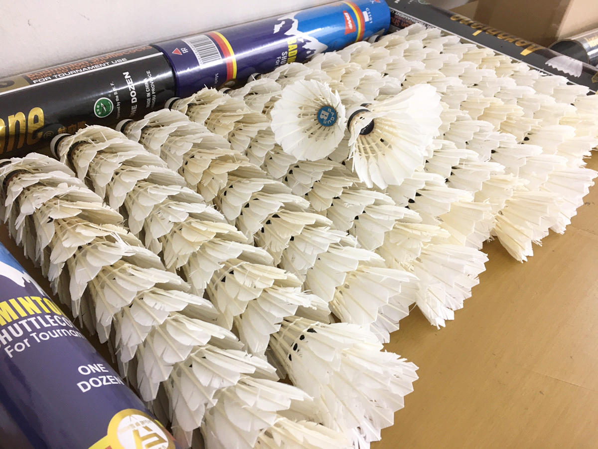 送料無料】バドミントン中古シャトル120個練習用にいかがですか 【公式
