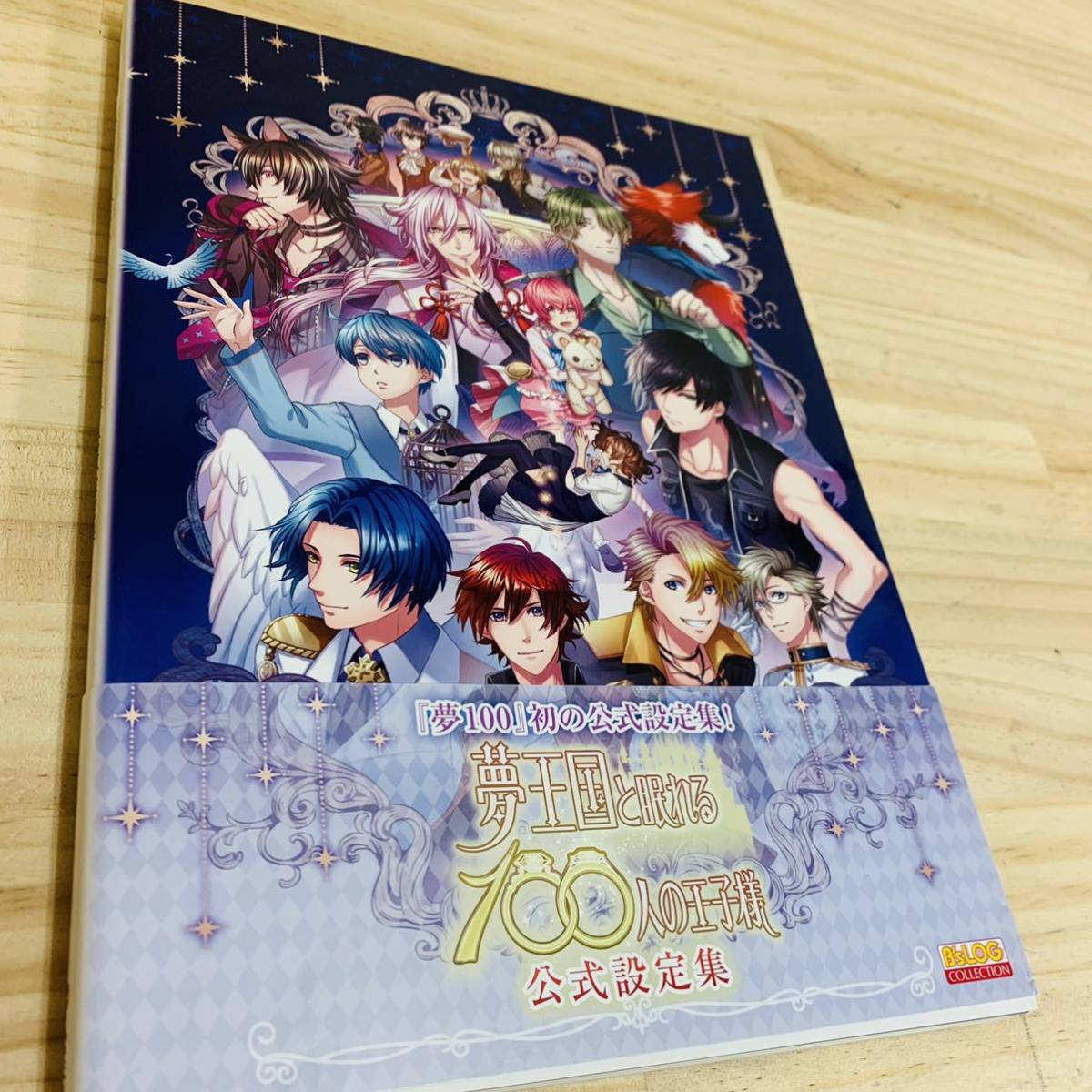 3q7307 5 夢王国と眠れる100人の王子様 公式設定集 ゲーム設定資料集 売買されたオークション情報 Yahooの商品情報をアーカイブ公開 オークファン Aucfan Com