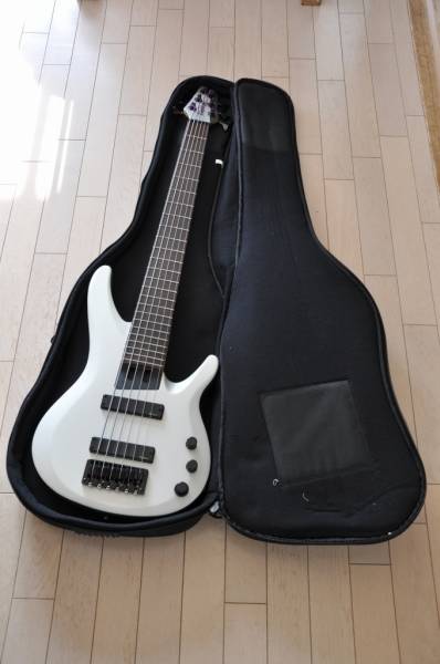 1円 Washburn ウォッシュバーン Bb6 Gm 6弦ベース 本体 売買されたオークション情報 Yahooの商品情報をアーカイブ公開 オークファン Aucfan Com