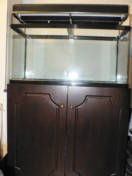 NISSO スティングレー 90cm 曲げガラス 水槽NS-113 魚 ニッソー