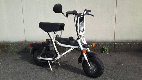 ☆珍車 イタリア生まれの折りたたみバイク ディブラッシ(車体)｜売買