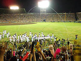 【5/6（祝）】阪神vs巨人☆ライト外野年席13段目☆2連番☆雨補_1