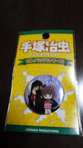 12年06月 ピノコのヤフオク の相場 価格を見る ヤフオク のピノコのオークション売買情報は17件が掲載されています