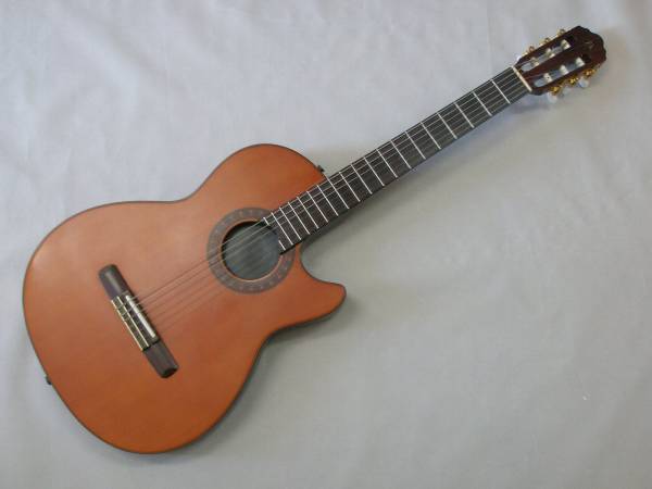 MORRIS モーリス GrooVin' エレガットギター PA-17G ケース付(本体