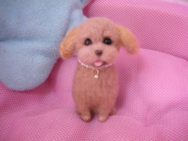 手作り羊毛フェルト☆犬・いぬ・トイプー☆ブラウン系_2