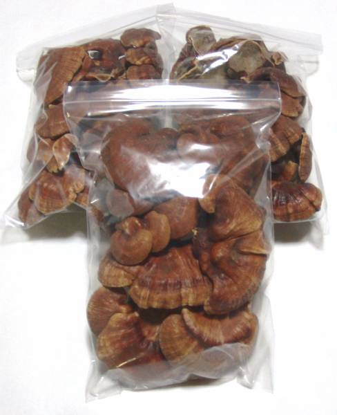 ☆★ 霊芝 １００グラム X ３袋　送料無料！★☆_1