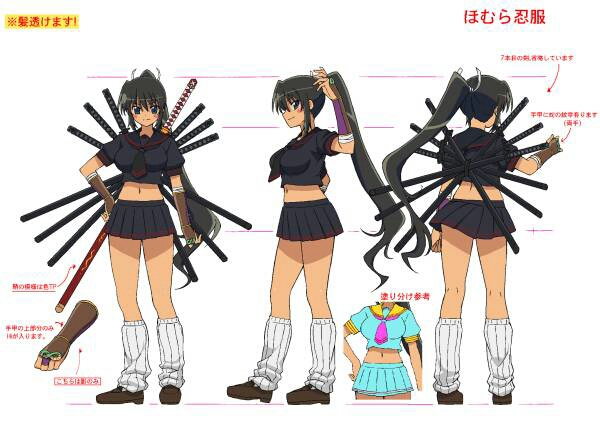 閃乱カグラ アンリミテッドヴァーサス vol.3 飛鳥 斑鳩 葛城 雲雀 柳生 閃乱カグラ 設定資料集 カラー 飛鳥斑鳩葛城柳生雲雀 GREE(原画、設定