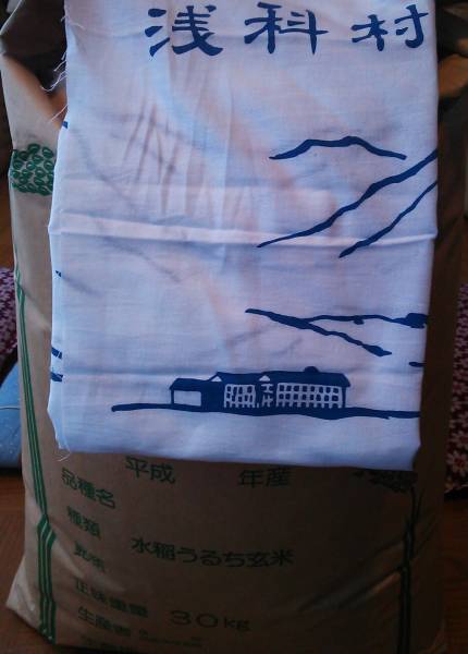 信州佐久平産～浅科米コシヒカリ100％白米25Kg◇送料無料◇_1