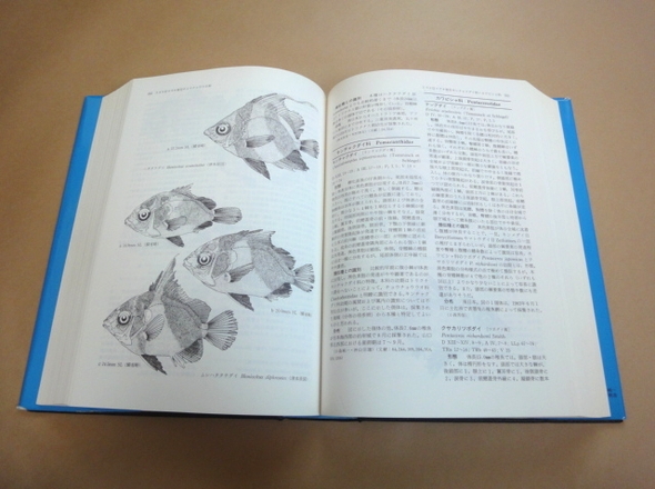 ☆書籍 「日本産稚魚図鑑」 沖山宗雄 ☆(生物学)｜売買された