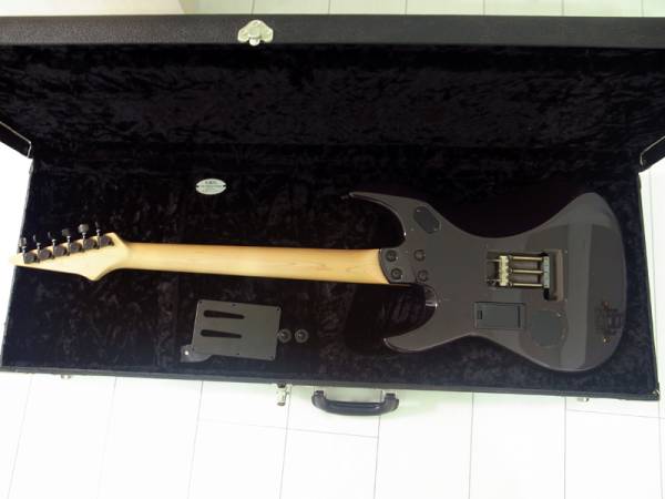 FERNANDES M-85C EMG G&Lハードケース付 瀧川一郎 CIPHER