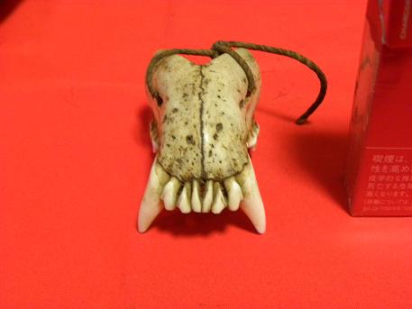 ☆古い野獣の牙☆根付☆狼☆熊☆魔除け☆お守り☆マタギ☆アイヌ(根付
