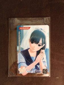 e-amusement passのYahoo!オークション(旧ヤフオク!)の相場・価格を 