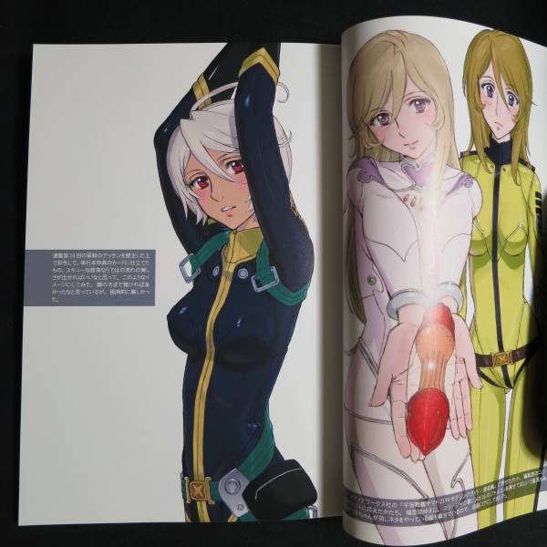 宇宙戦艦ヤマト2199 むらかわみちお ヤマトクルー限定ネーム集 イラスト集 原画集 売買されたオークション情報 Yahooの商品情報をアーカイブ公開 オークファン Aucfan Com