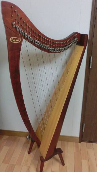 中古レバーハープ】Salvi AIDA 34弦(弦楽器)｜売買されたオークション
