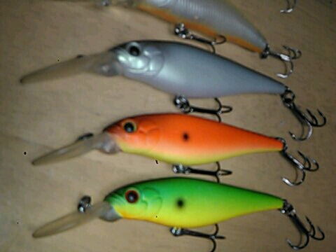 エバーグリーン スレッジ SP セット/ CC プレデター★_2