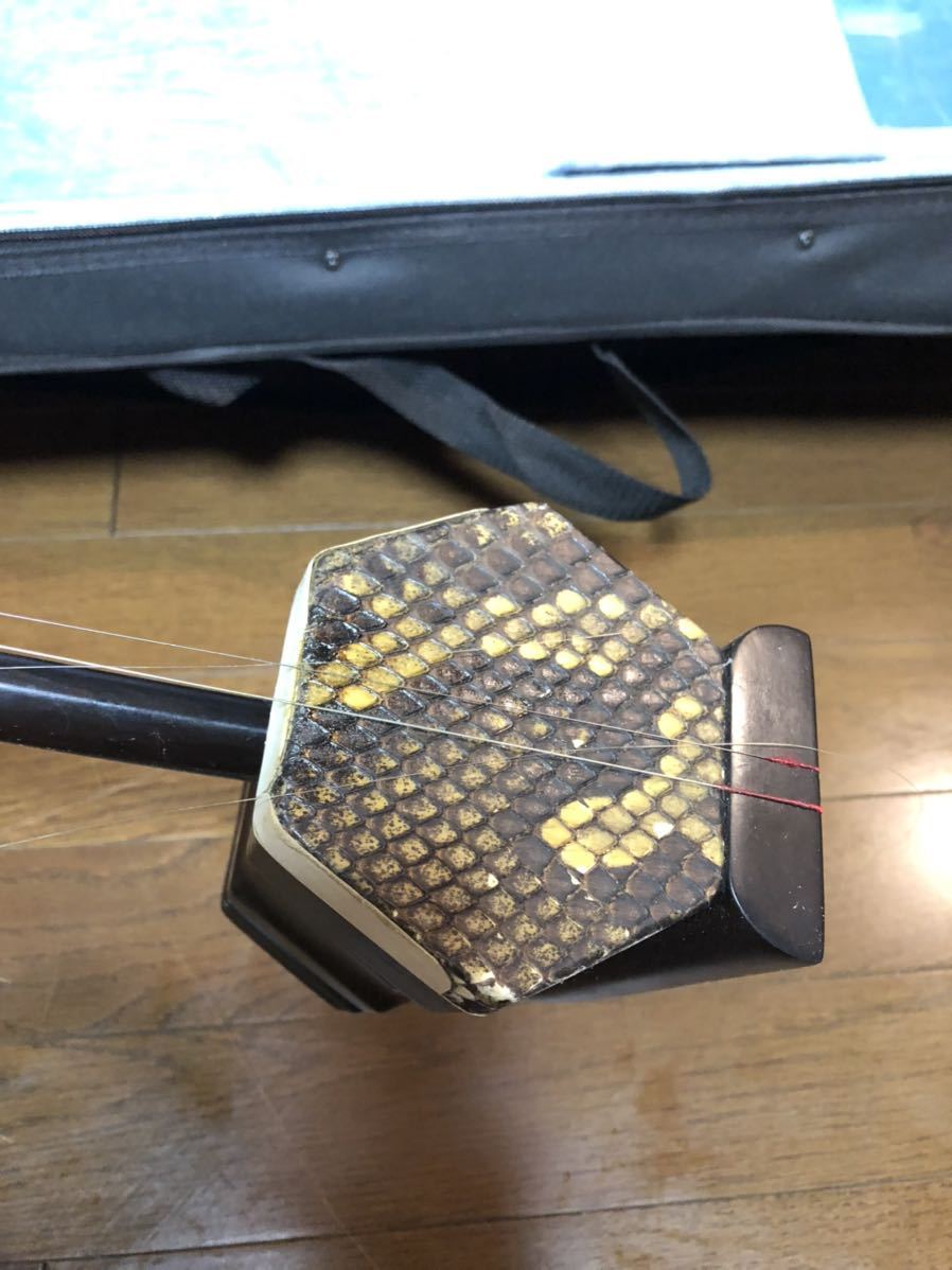 中国 二胡 ケース付き 女子十二楽坊 _2