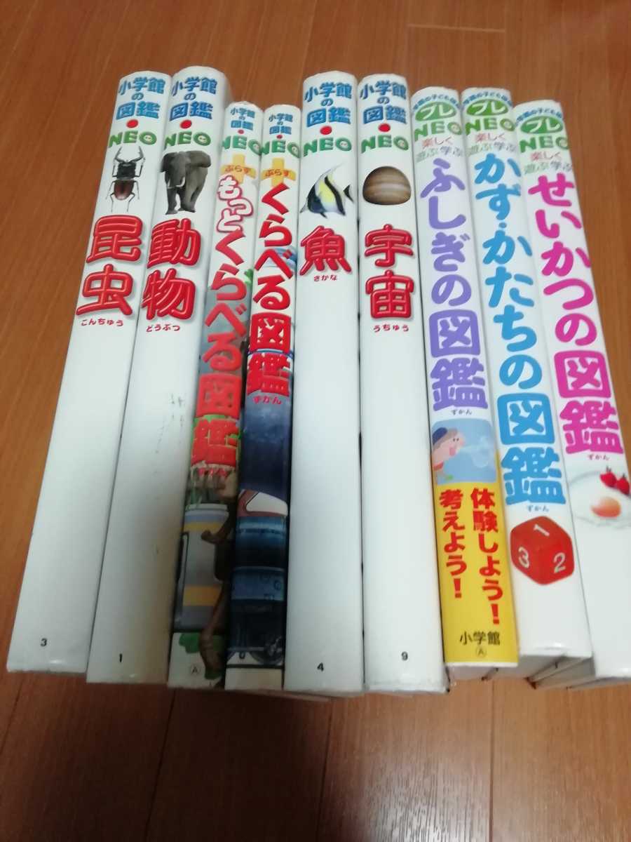 小学館の図鑑NEO 9冊 小学館の図鑑NEO 9冊セット 夏休み 自由研究