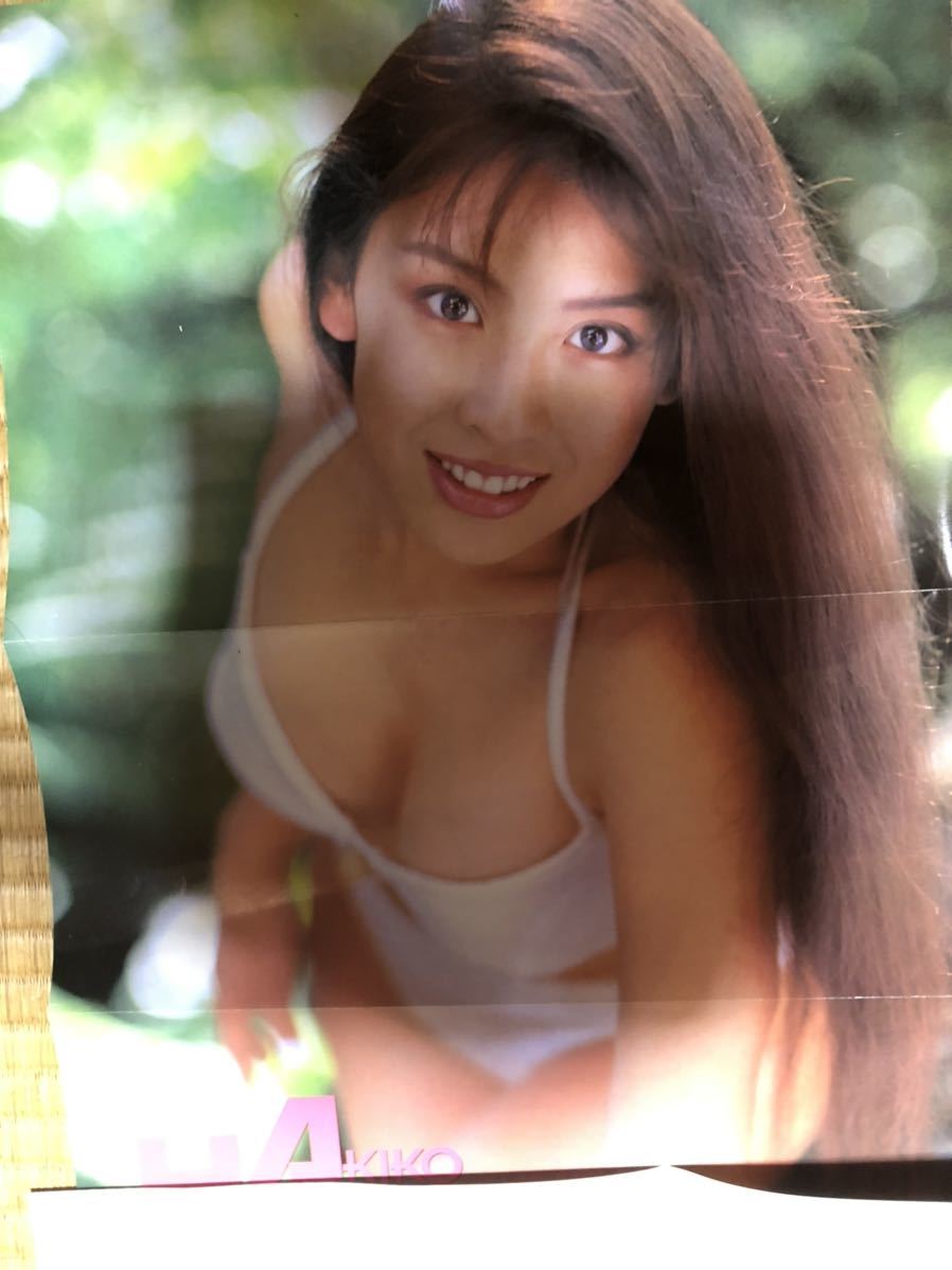 雛形あきこ 切り抜き 大量 付録ポスター5枚付 巨乳 Fカップ フライデー ヤングマガジン スコラ  プレイボーイ(タレント)｜売買されたオークション情報、Yahoo!オークション(旧ヤフオク!) の商品情報をアーカイブ公開 -  オークファン（aucfan.com）