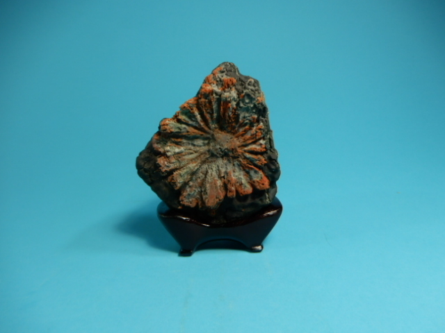 御殿桜石 岐阜県根尾谷産2.2㌔ 鑑賞石 観賞石 水石 盆石 天然石 御殿桜石 岐阜県根尾谷産2.2㌔ 鑑賞石 観賞石 水石 盆石