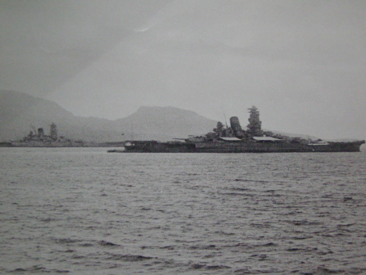 x1004960235.2.jpg