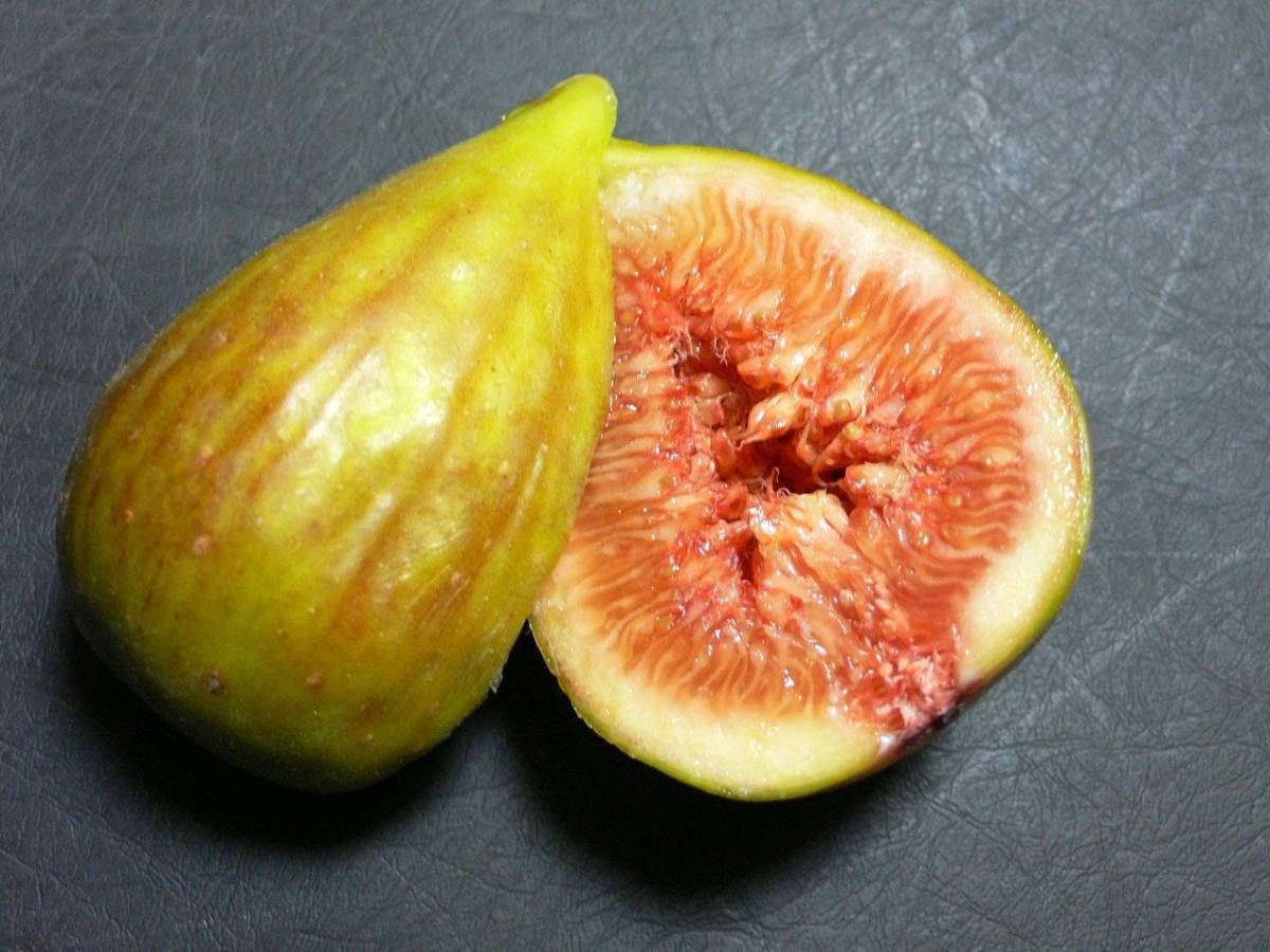 世界の黄緑色皮・琥珀色果肉イチジク シャーアンバー 【SCHAR AMBER