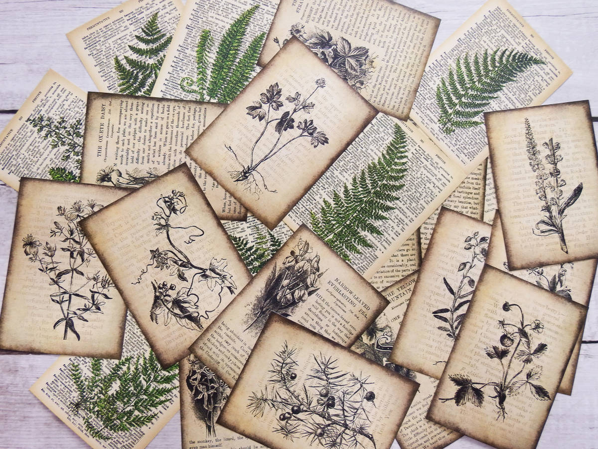 コラージュ素材 紙もの 素材紙 【1887】 【公式通販】