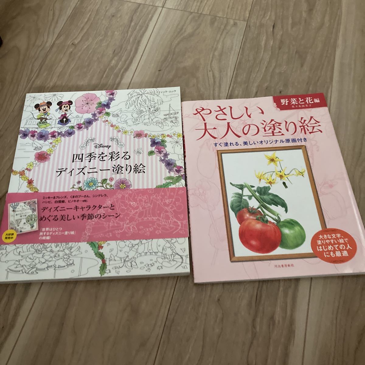 四季を彩る ディズニー塗り絵 やさしい大人の塗り絵 Disney ブティック社 河出書房新社 ミッキー ミニー プリンセス ぬりえ 紙芝居 ぬりえ 売買されたオークション情報 Yahooの商品情報をアーカイブ公開 オークファン Aucfan Com