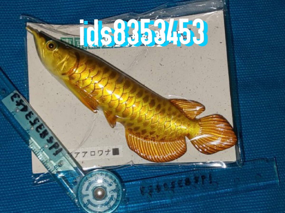 ゴールデンアロワナ ゴールド 黄金 マグネット アジアアロワナ お魚