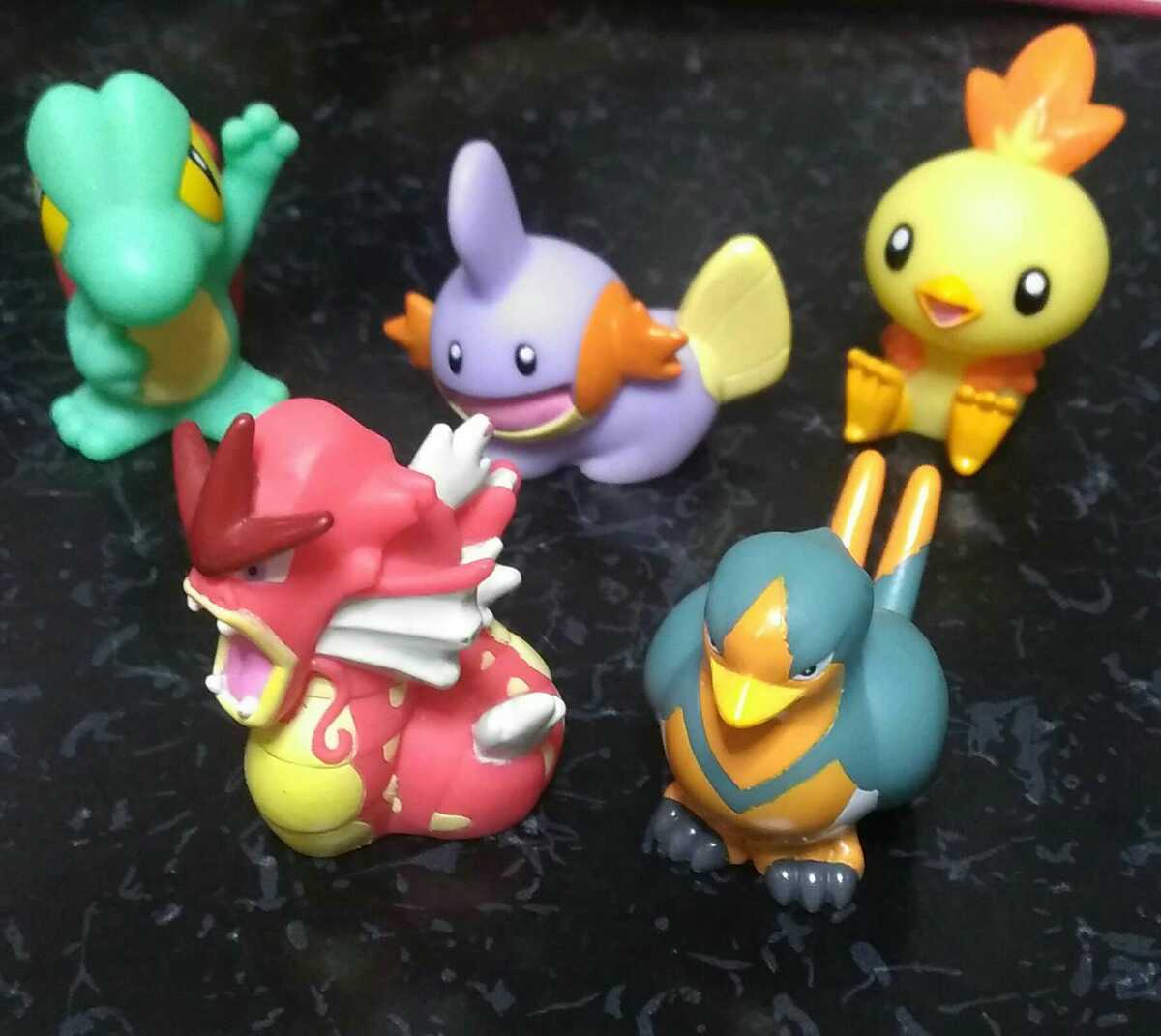 ポケモン指人形 当選品 色違いポケモンキッズ 赤いギャラドス等5個 