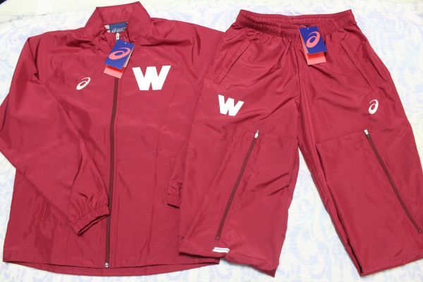 《新品・タグ付》早稲田大学 男子陸上 上下ウインドブレーカー
