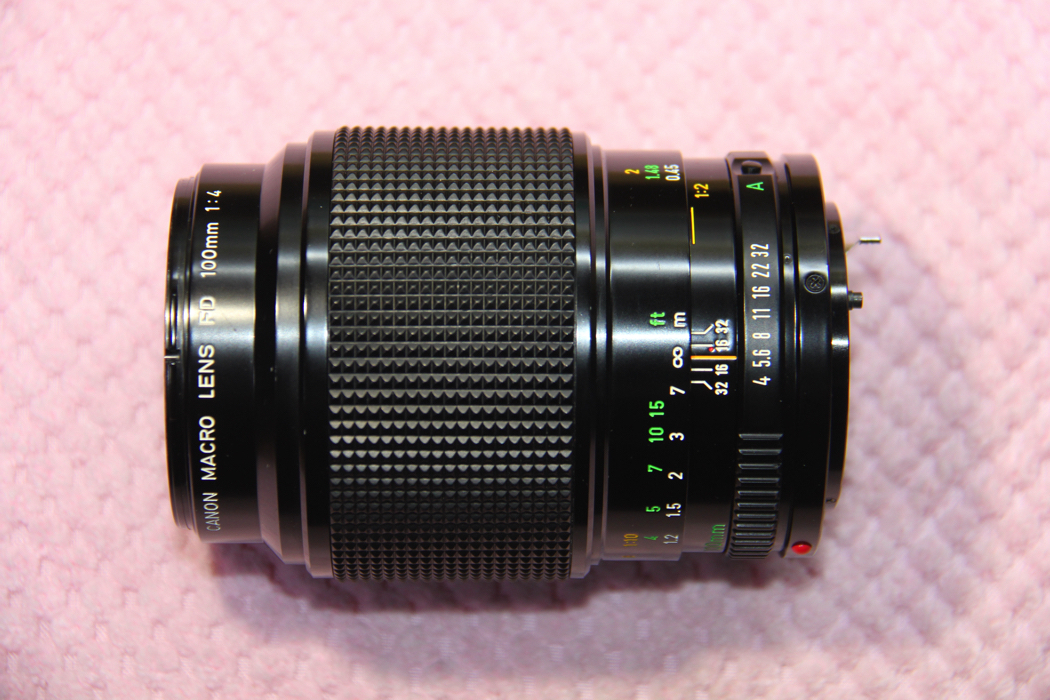 CANON NEW FD MACRO 100mm f/4 キャノン レンズ #4059 【公式通販】