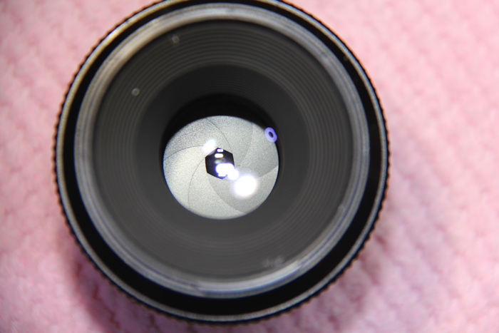 CANON NEW FD MACRO 100mm f/4 キャノン レンズ #4059 【公式通販】
