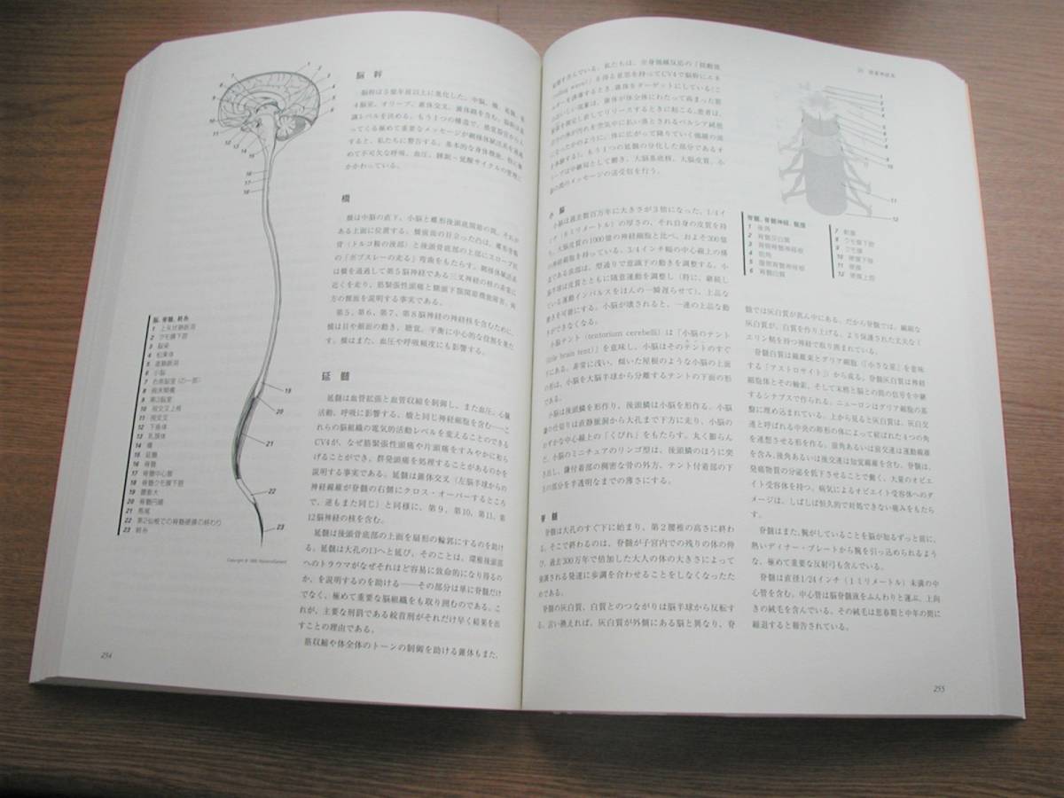 ザハートオブリスニング クラニオセイクラルヴィジョナリーアプローチ