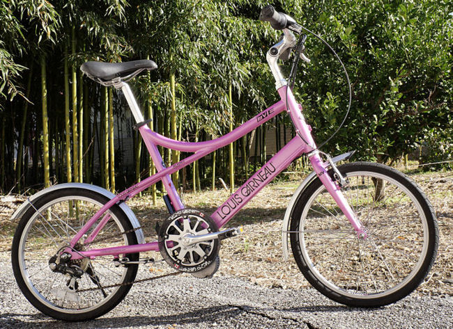 自転車、サイクリング 引き取り限定 ジャンク品 LOUIS GARNEAU 20