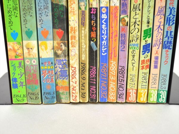TE11○現状品まとめて!!○小説June ジュネ 14冊セット 1984年～1988年 