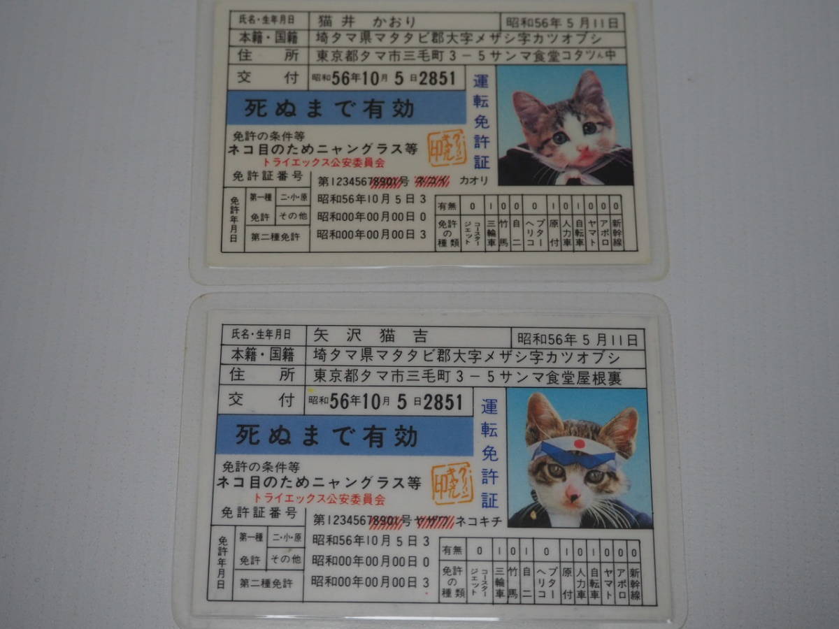 送料無料】当時物 なめ猫 なめんなよ ラミネートカード 免許証 学生証 